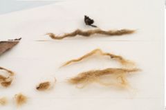 Etikett zu Textil (NHMW-PRAE-121049)